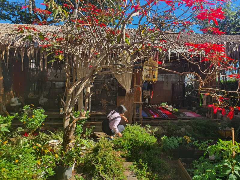 Chậm homestay Đà Lạt: Ngôi nhà đậm chất cổ điển với décor mộc mạc