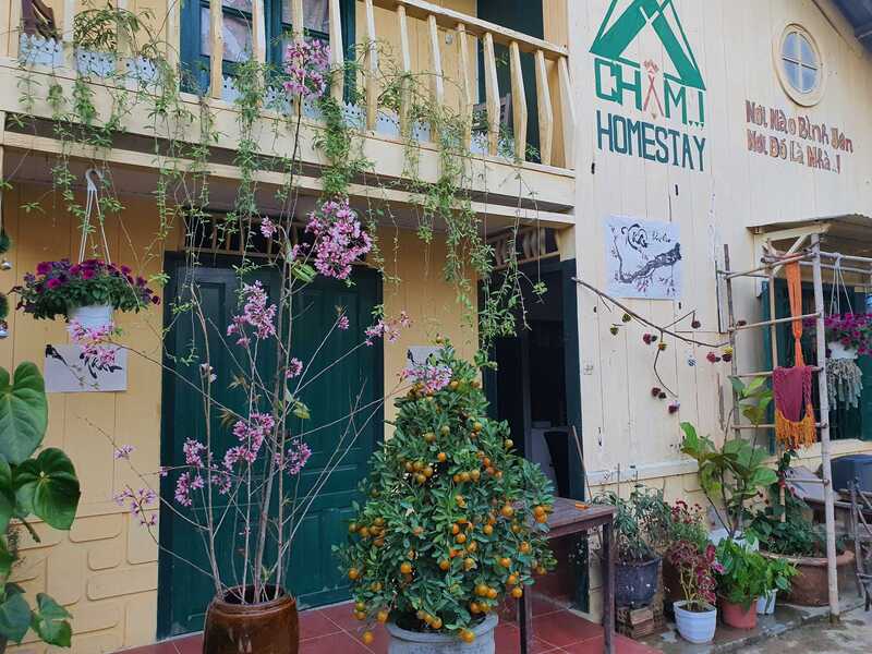 Chậm homestay Đà Lạt: Ngôi nhà đậm chất cổ điển với décor mộc mạc