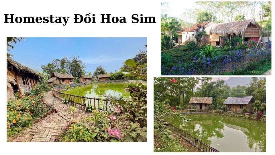 Top 20 Homestay Ba Vì giá rẻ view đẹp có hồ bơi thích hợp nghỉ dưỡng