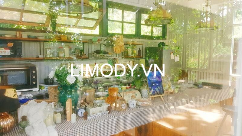 Top 52 Homestay Đà Lạt giá rẻ view đẹp gần chợ đêm trung tâm