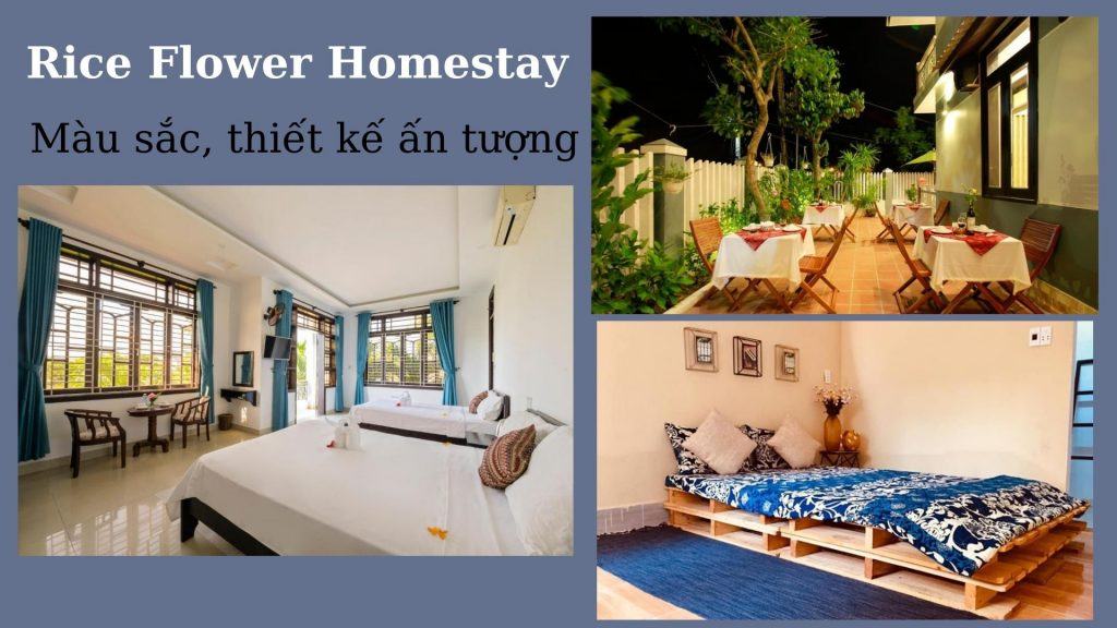Top 30 Homestay Hội An gần phố cổ giá rẻ có hồ bơi view biển đẹp tốt nhất