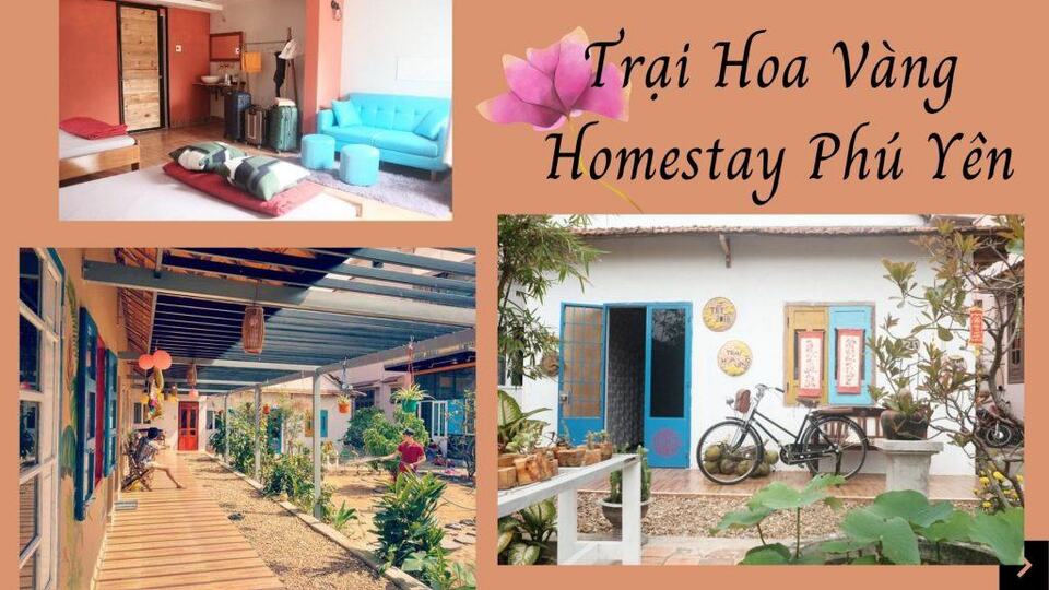 Top 20 Homestay Phú Yên Tuy Hòa view biển đẹp xịn sò ở trung tâm
