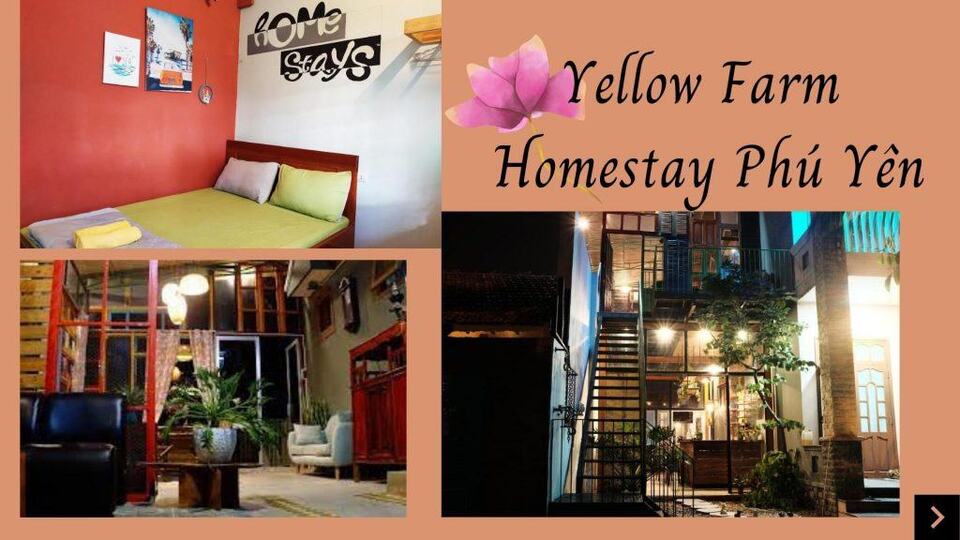 Top 20 Homestay Phú Yên Tuy Hòa view biển đẹp xịn sò ở trung tâm