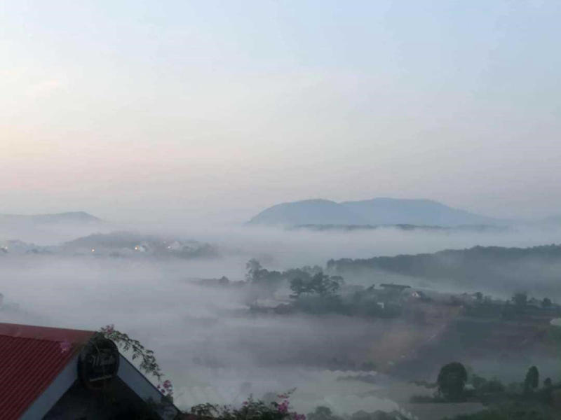Sweet Home Dalat - Homestay 