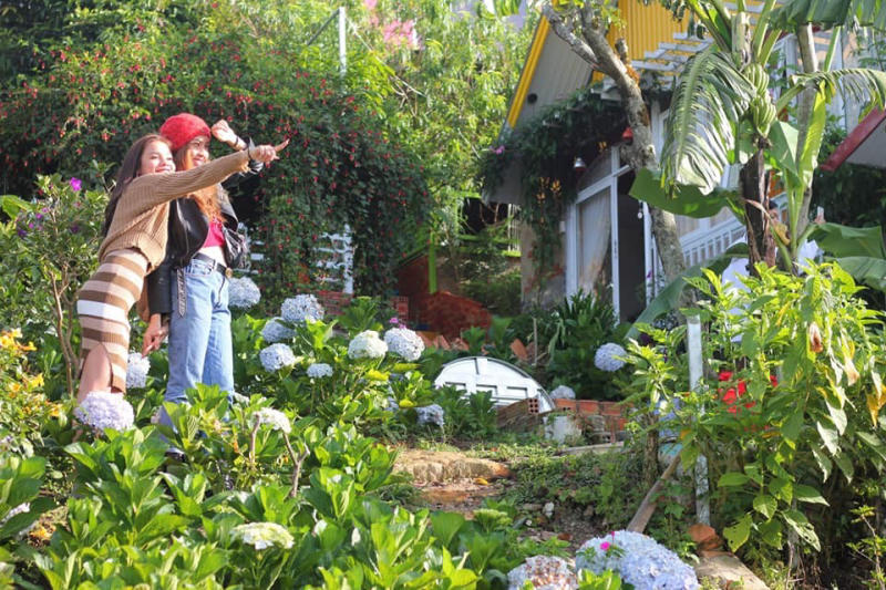 Sweet Home Dalat - Homestay 