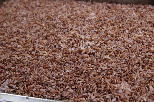 Công dụng của gạo lứt