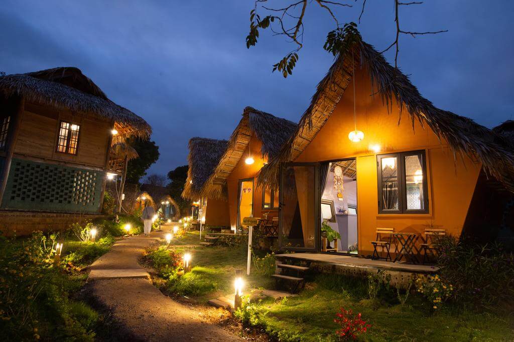 hoa mơ mộc châu