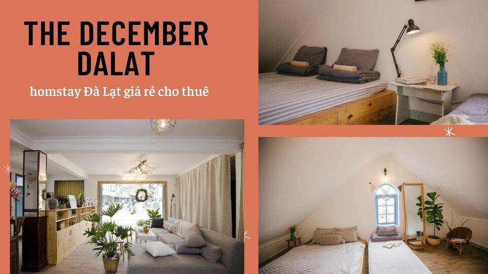Top 40 Homestay Đà Lạt giá rẻ view đẹp gần chợ đêm nguyên căn