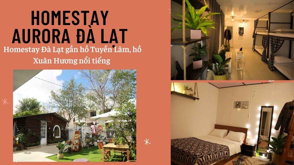 Top 40 Homestay Đà Lạt giá rẻ view đẹp gần chợ đêm nguyên căn
