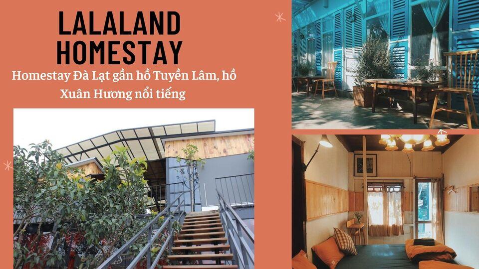 Top 40 Homestay Đà Lạt giá rẻ view đẹp gần chợ đêm nguyên căn