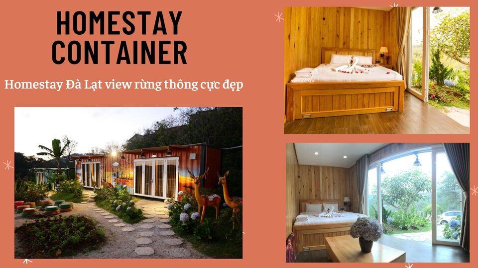 Top 40 Homestay Đà Lạt giá rẻ view đẹp gần chợ đêm nguyên căn