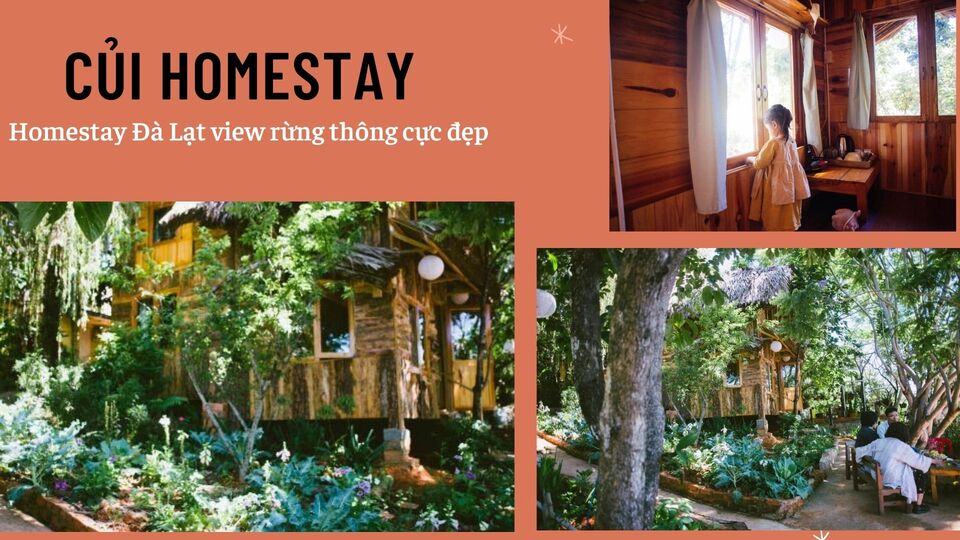 Top 40 Homestay Đà Lạt giá rẻ view đẹp gần chợ đêm nguyên căn