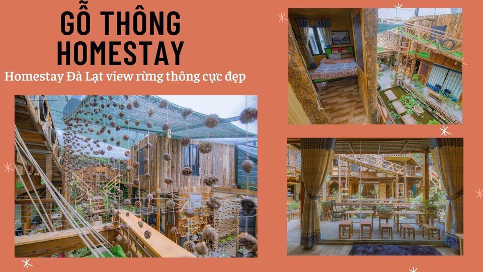 Top 40 Homestay Đà Lạt giá rẻ view đẹp gần chợ đêm nguyên căn