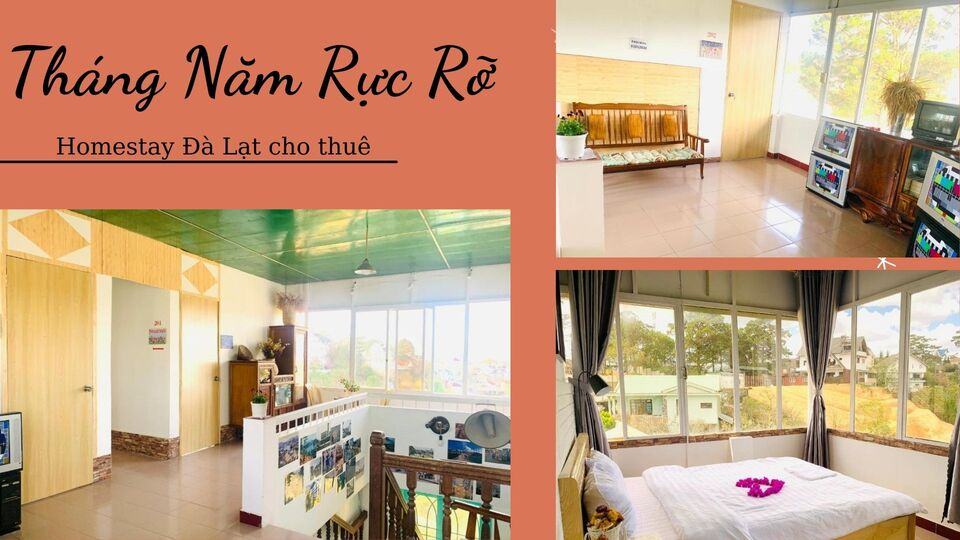 Top 40 Homestay Đà Lạt giá rẻ view đẹp gần chợ đêm nguyên căn