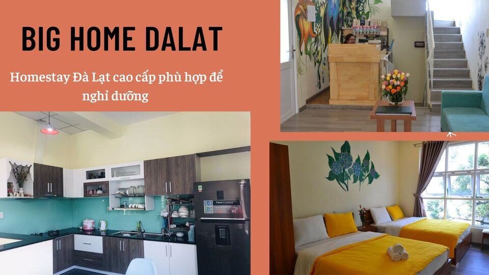 Top 40 Homestay Đà Lạt giá rẻ view đẹp gần chợ đêm nguyên căn