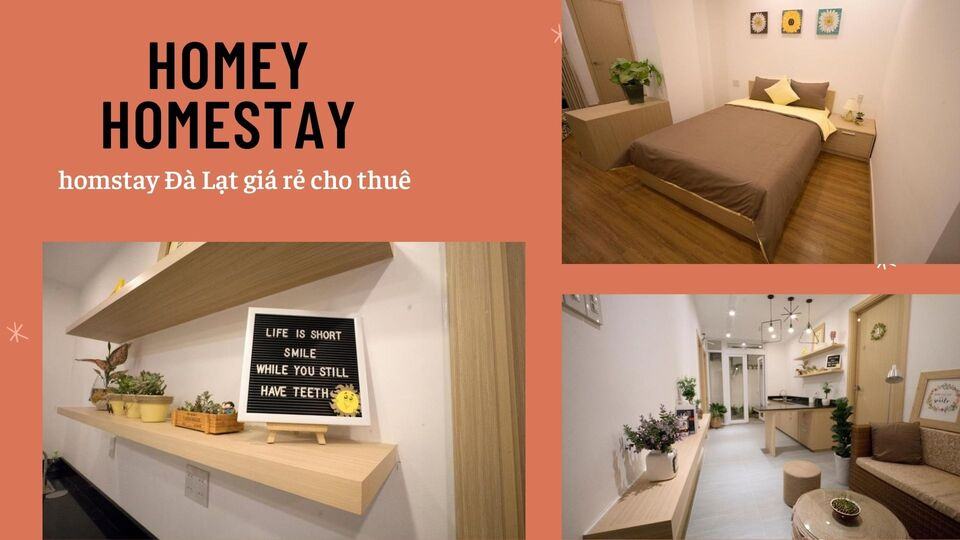 Top 40 Homestay Đà Lạt giá rẻ view đẹp gần chợ đêm nguyên căn