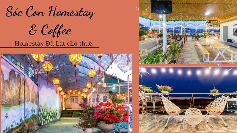 Top 40 Homestay Đà Lạt giá rẻ view đẹp gần chợ đêm nguyên căn