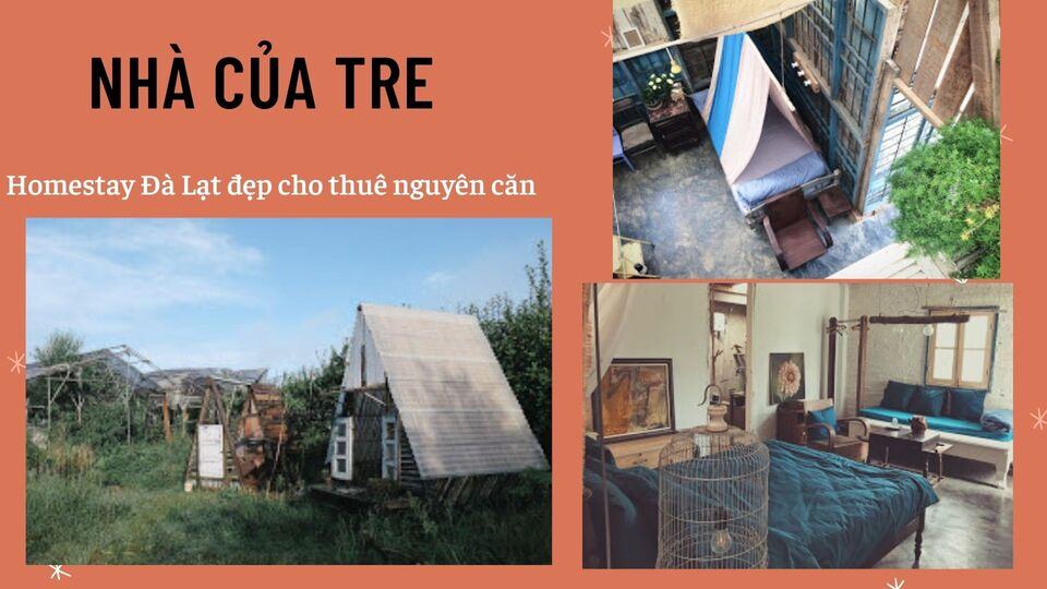 Top 40 Homestay Đà Lạt giá rẻ view đẹp gần chợ đêm nguyên căn