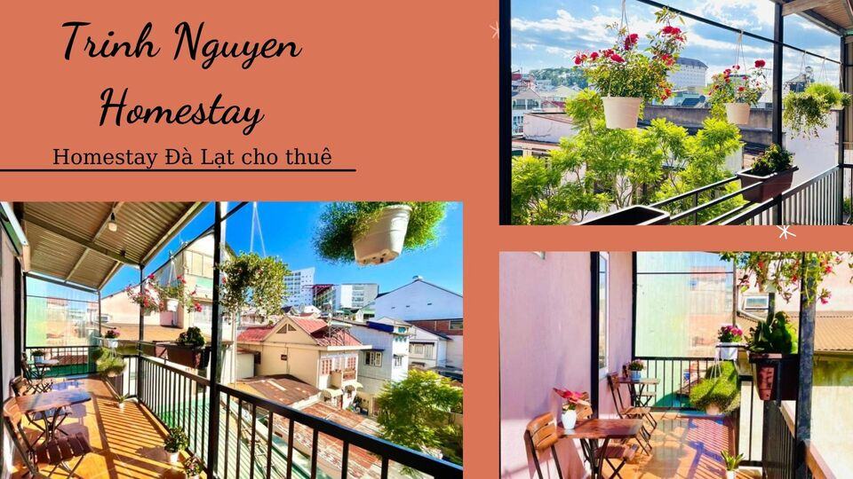 Top 40 Homestay Đà Lạt giá rẻ view đẹp gần chợ đêm nguyên căn