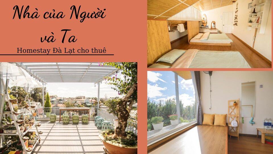 Top 40 Homestay Đà Lạt giá rẻ view đẹp gần chợ đêm nguyên căn