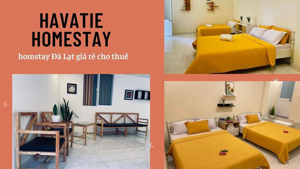 Top 40 Homestay Đà Lạt giá rẻ view đẹp gần chợ đêm nguyên căn