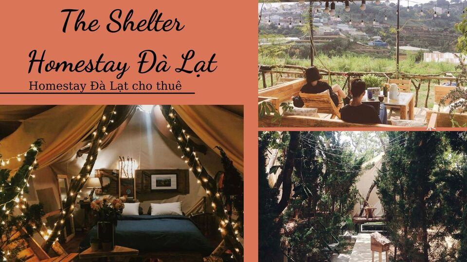 Top 40 Homestay Đà Lạt giá rẻ view đẹp gần chợ đêm nguyên căn