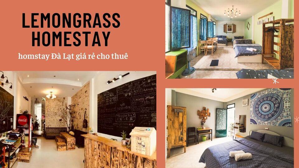 Top 40 Homestay Đà Lạt giá rẻ view đẹp gần chợ đêm nguyên căn