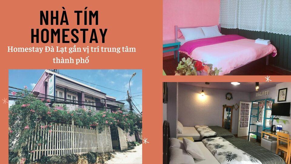 Top 40 Homestay Đà Lạt giá rẻ view đẹp gần chợ đêm nguyên căn