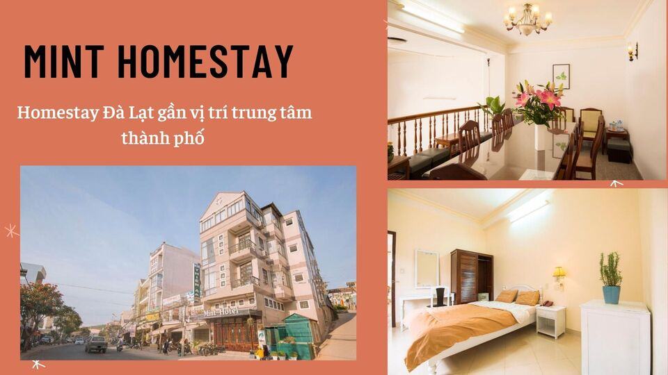 Top 40 Homestay Đà Lạt giá rẻ view đẹp gần chợ đêm nguyên căn