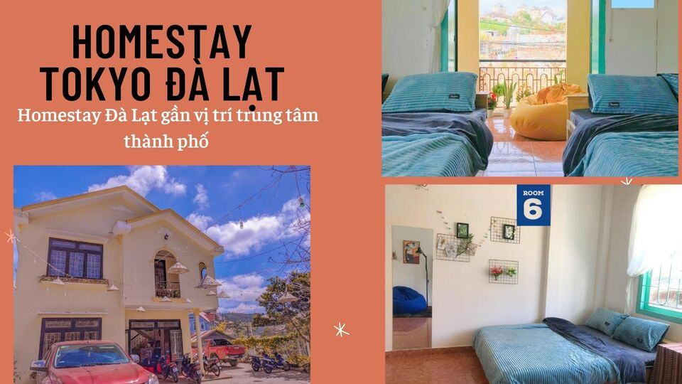 Top 40 Homestay Đà Lạt giá rẻ view đẹp gần chợ đêm nguyên căn