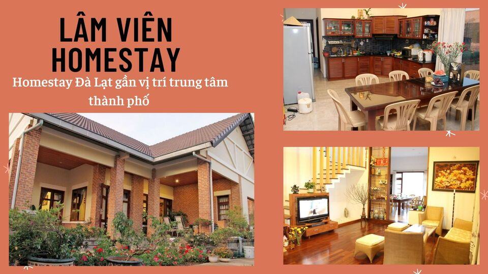 Top 40 Homestay Đà Lạt giá rẻ view đẹp gần chợ đêm nguyên căn