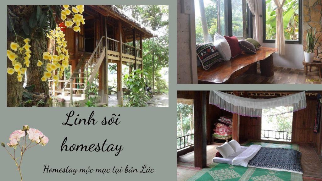 Top 20 Homestay gần Hà Nội giá rẻ đẹp chưa tới 500k có hồ bơi riêng