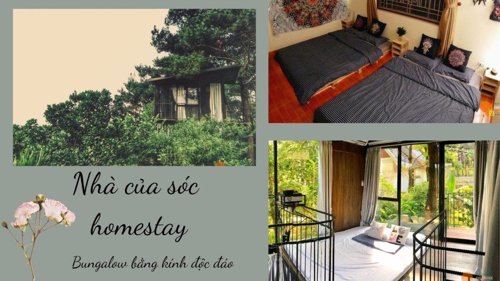 Top 20 Homestay gần Hà Nội giá rẻ đẹp chưa tới 500k có hồ bơi riêng