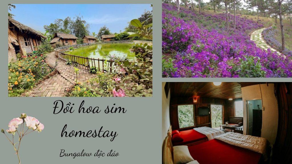 Top 20 Homestay gần Hà Nội giá rẻ đẹp chưa tới 500k có hồ bơi riêng