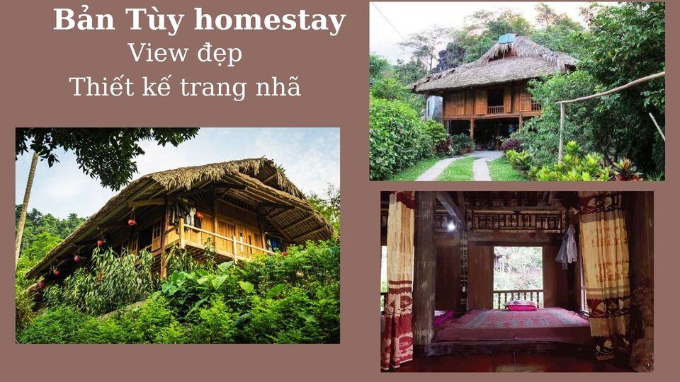 Top 15 Homestay Hà Giang giá rẻ view ngắm mây núi tuyệt đẹp từ 200k