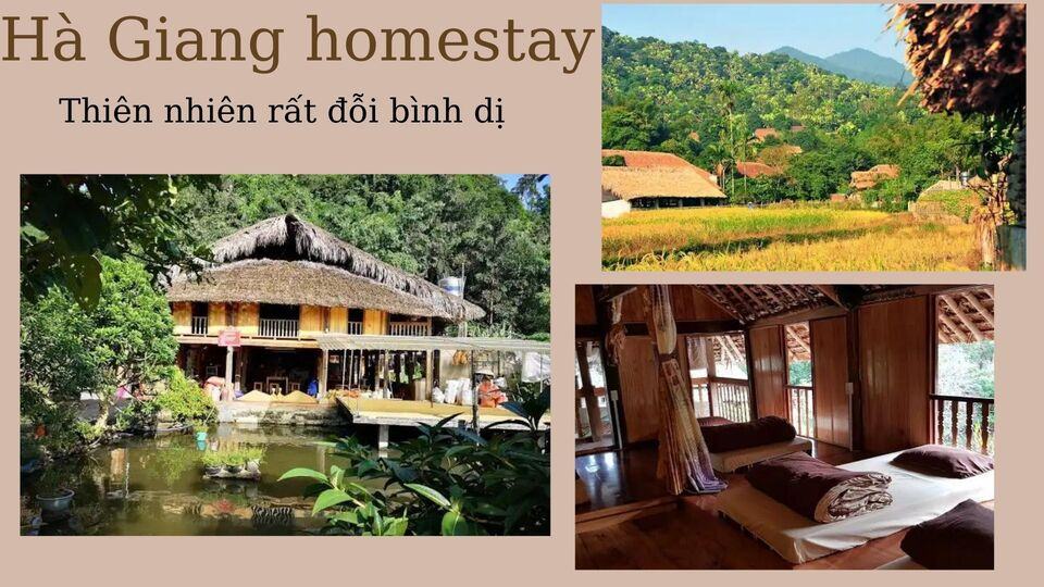 Top 15 Homestay Hà Giang giá rẻ view ngắm mây núi tuyệt đẹp từ 200k