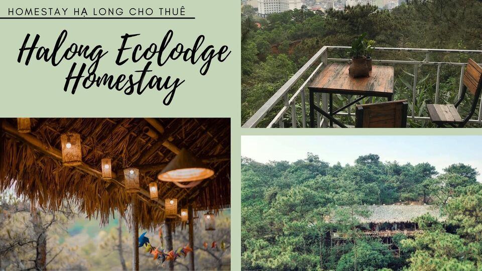 Top 20 homestay Hạ Long gần biển view đẹp giá rẻ đáng tham khảo