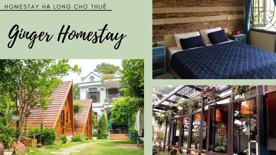 Top 20 homestay Hạ Long gần biển view đẹp giá rẻ đáng tham khảo