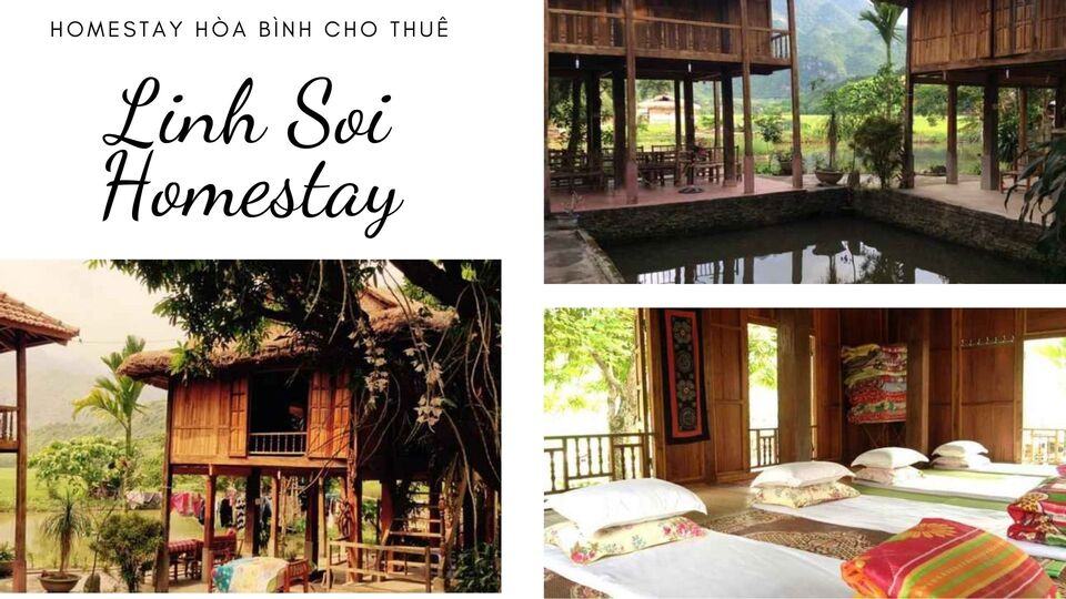Top 10 Homestay Hòa Bình view núi non đẹp giá bình dân được yêu thích