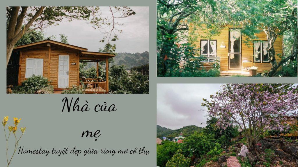 Top 20 homestay Mộc Châu đẹp giá rẻ gần đồi chè trái tim
