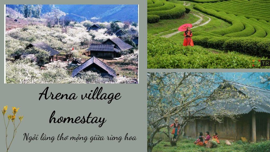 Top 20 homestay Mộc Châu đẹp giá rẻ gần đồi chè trái tim