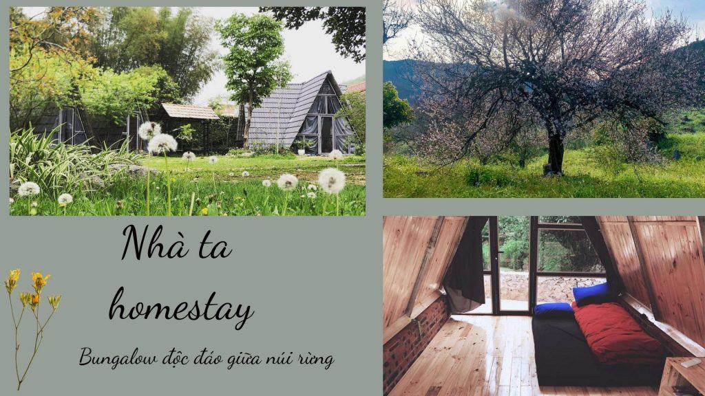 Top 20 homestay Mộc Châu đẹp giá rẻ gần đồi chè trái tim