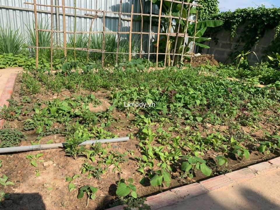 Top 20 homestay Phú Quốc giá rẻ đẹp view biển ở trung tâm dưới 500k