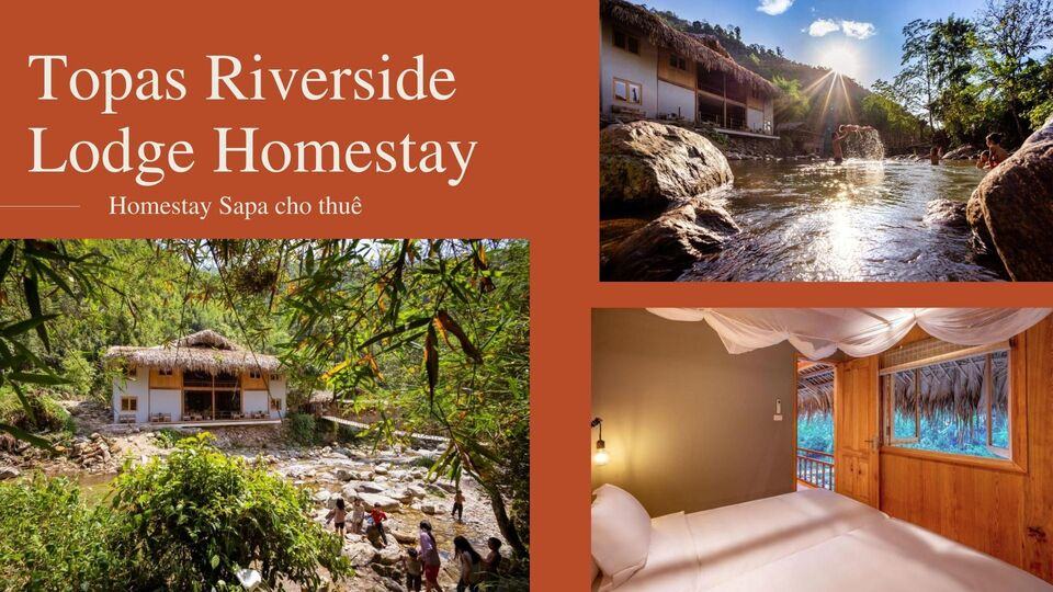 Top 30 Homestay Sapa Lào Cai giá rẻ view săn mây đẹp có bể bơi vô cực