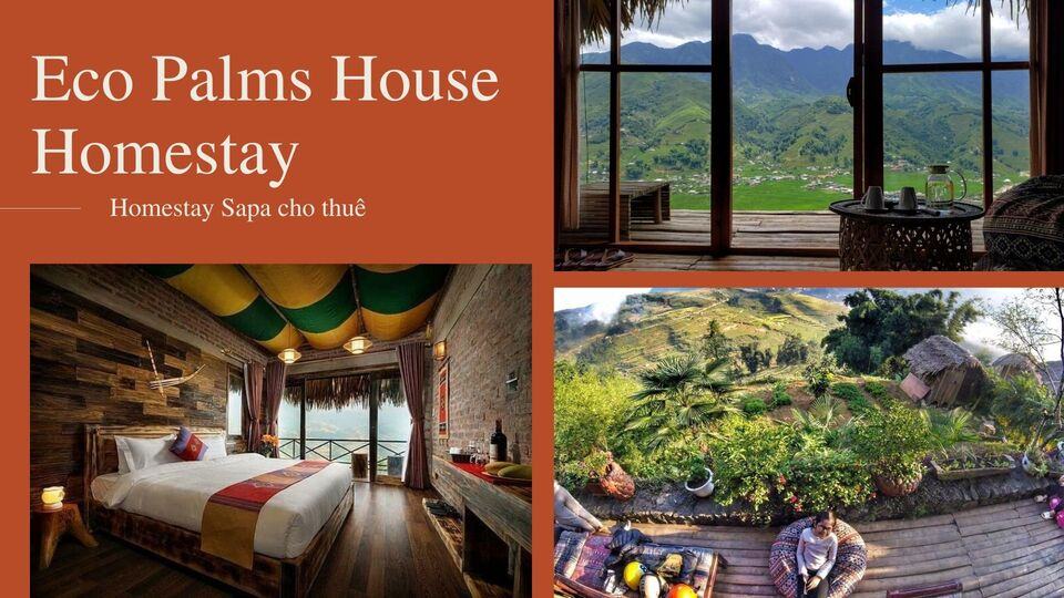 Top 30 Homestay Sapa Lào Cai giá rẻ view săn mây đẹp có bể bơi vô cực