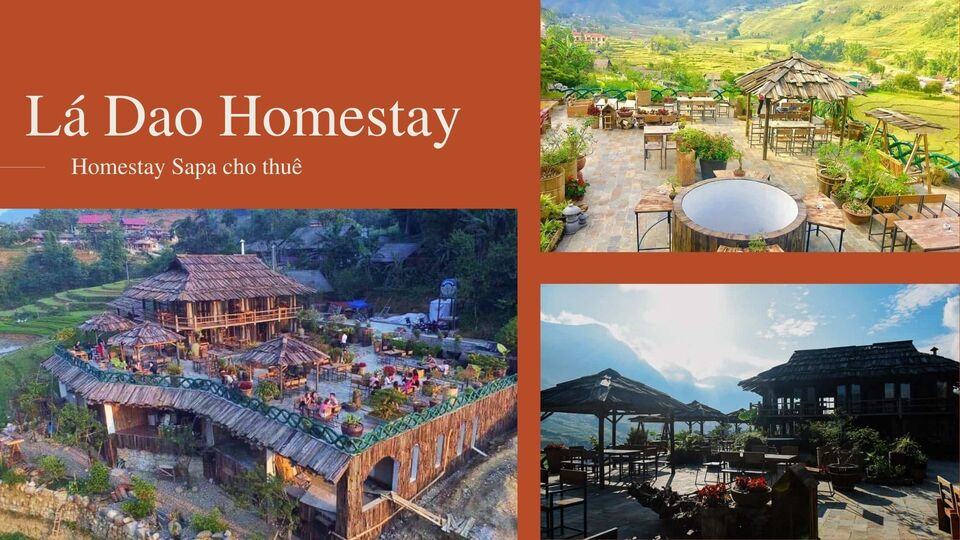 Top 30 Homestay Sapa Lào Cai giá rẻ view săn mây đẹp có bể bơi vô cực
