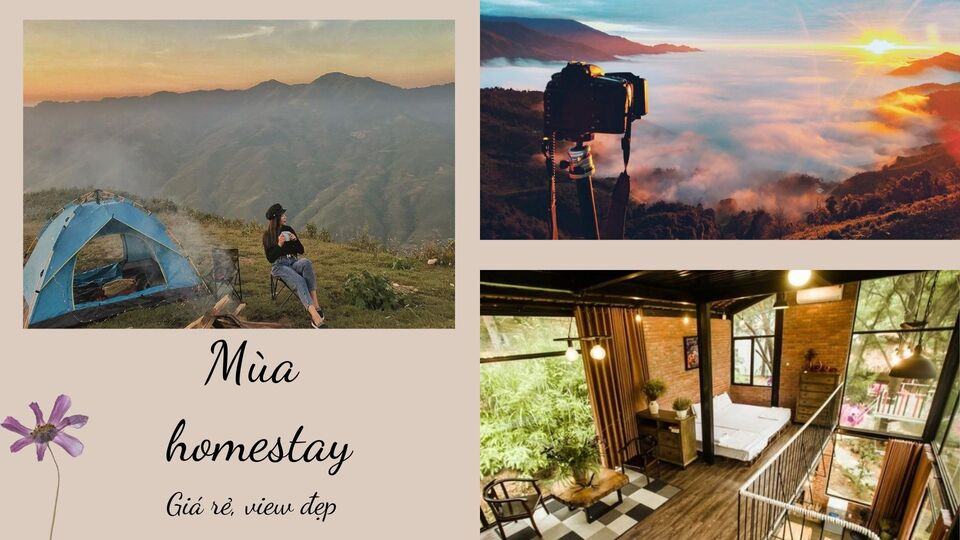 Top 10 Homestay Tà Xùa đẹp giá rẻ nổi tiếng view ngắm trọn núi rừng