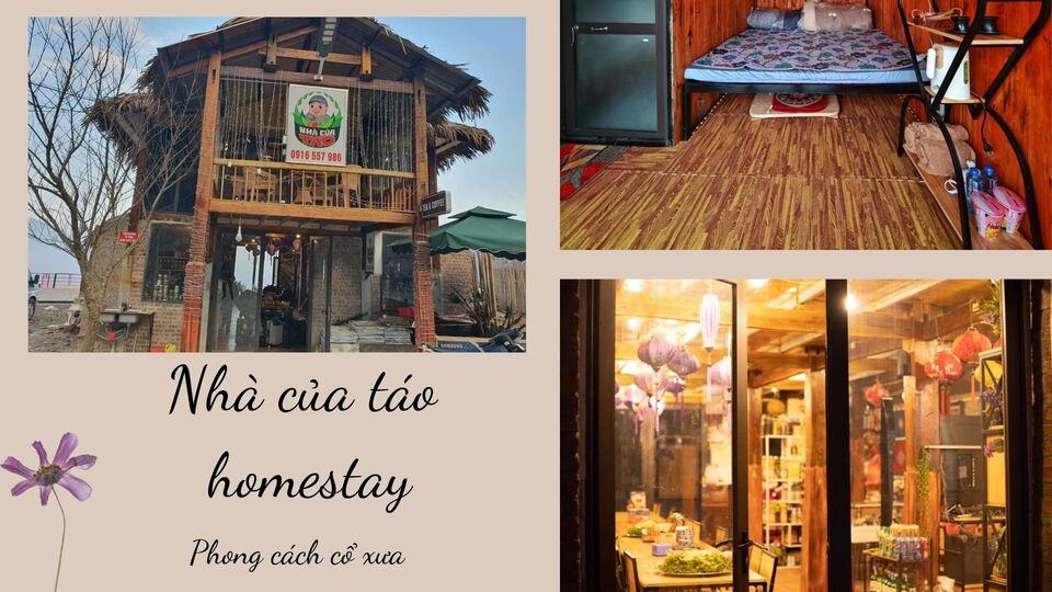Top 10 Homestay Tà Xùa đẹp giá rẻ nổi tiếng view ngắm trọn núi rừng
