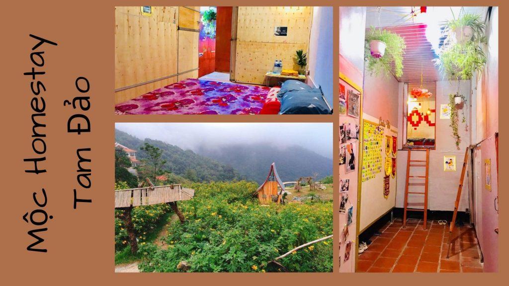 Top 30 Homestay Tam Đảo Vĩnh Phúc giá rẻ view đẹp để ngắm mây núi
