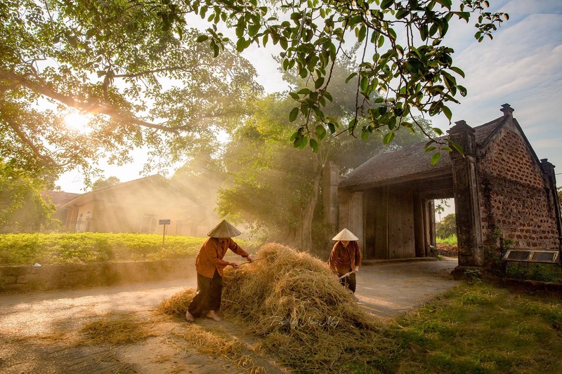 Khám phá vẻ đẹp dân dã của làng cổ Đường Lâm hấp dẫn bao người